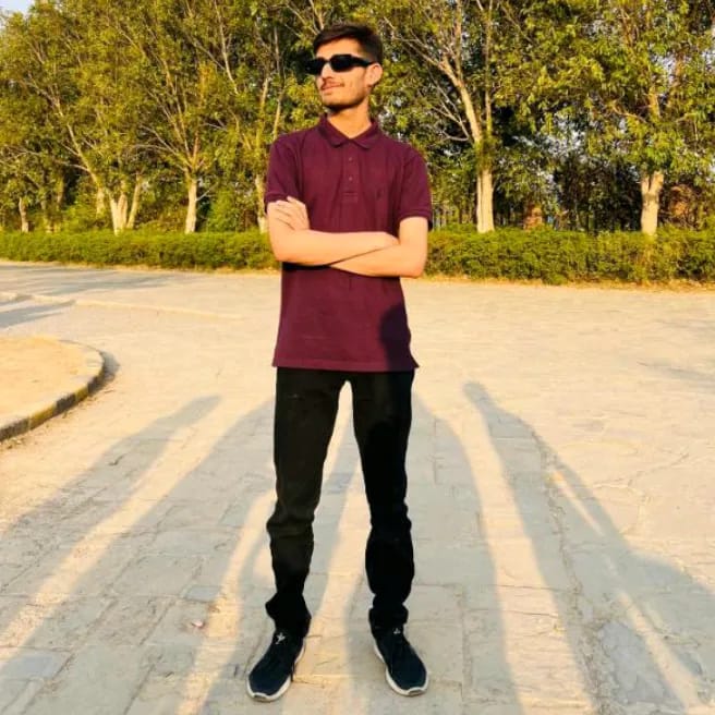 Muhammad Mursaleen Mustafvi 